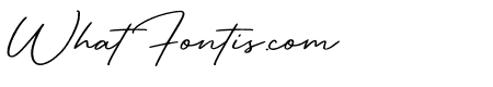 RetroSignatureRegular