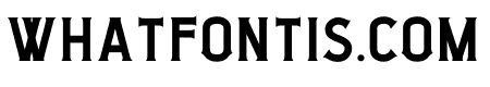 Xander   Serif