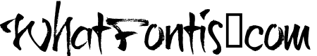 Brushtip-C