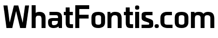 Neutinosans Bold SVG