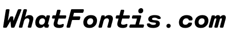 StndrdEORMono BoldItalic