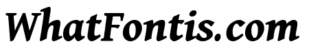 Dai Banna SIL 700italic