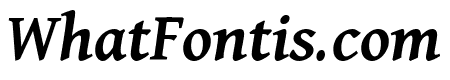 Dai Banna SIL 600italic