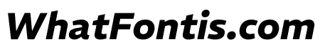 REM 700italic