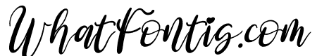 amalia nurse Italic
