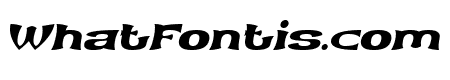ARCHER Italic