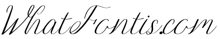 Brugundy Italic