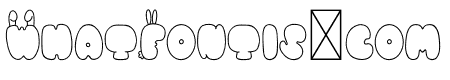 BUNNY Outline