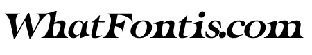 DERMIK Italic