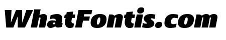 Mally Black Italic