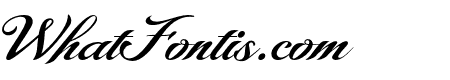 Montante