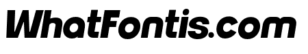 Neueral Black Italic