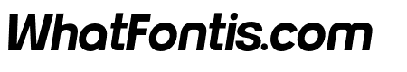 Neueral Bold Italic
