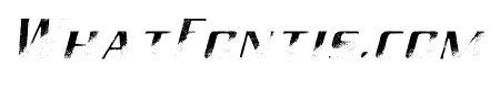 PowerGYM Italic Texture FX