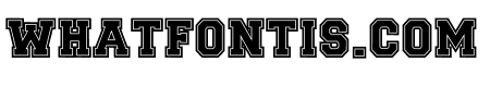 Sport Border Bold