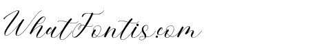 SundayLetter