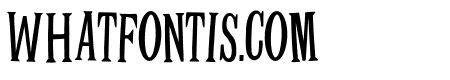Travel Stories Font - Slanted Regular