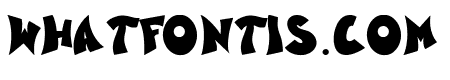 Wizard Illusion