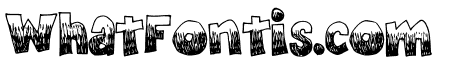 Wood Comic Regular