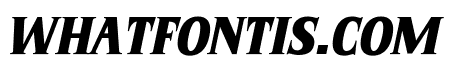 Belvine Delight Italic