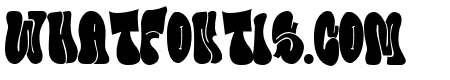 Bubble Horns