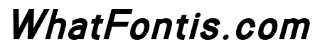 Compactible Bold Italic