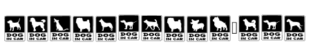 Dog In Car Regular