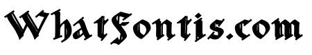 PNDusseldorfBold
