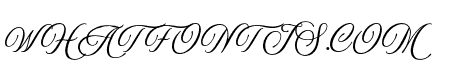 HarumeRoman-Calligraphy