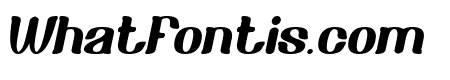 METAPHOR Bold Italic
