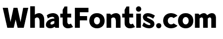 ModesticSans-Black