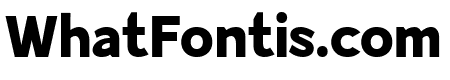 Modestic Sans Black