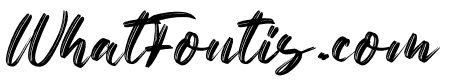 Netto Brushes