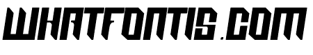 RaceTimo-Regular
