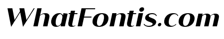Saldo Bold Italic