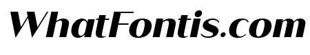 Saldo ExtraBold Italic