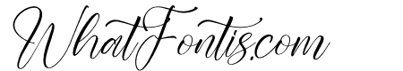 Shaquitta Italic