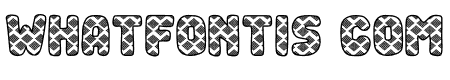 Snake Skin