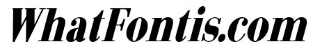 Arshila-BlackItalicCondensed