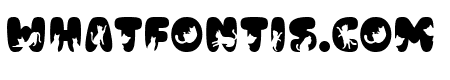 Cat Nite Solid