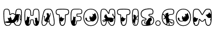 Cat Nite