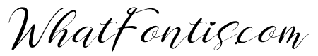 Chamelia Blinkar Italic