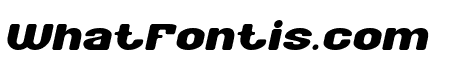 Chaos Theory Bold Italic