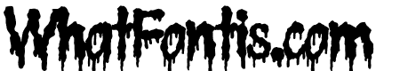 Crocula Regular