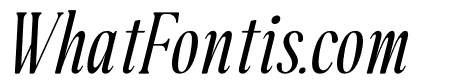 Dailyfully Italic