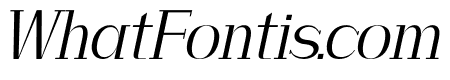 daria Italic