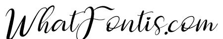 Dettina Laura Italic
