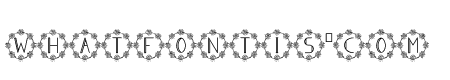 Monogram Evellin