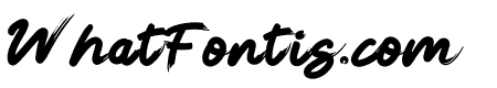Friendster Black