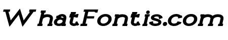 Li?vin Bold Expanded Italic